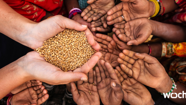 The WFP has a brilliant video series on LinkedIn called “Journey of Food”